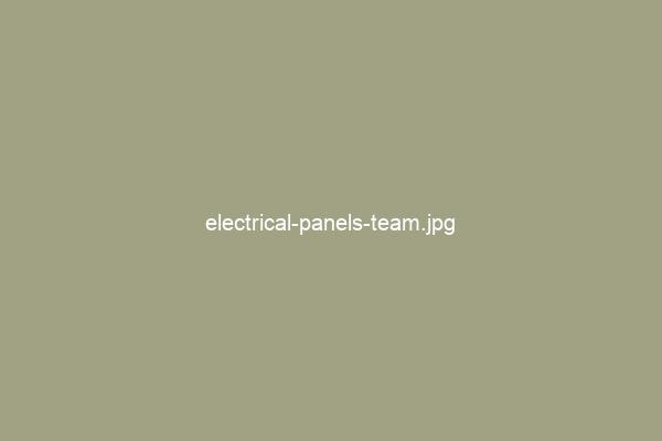 Our Electrical Panels Team
